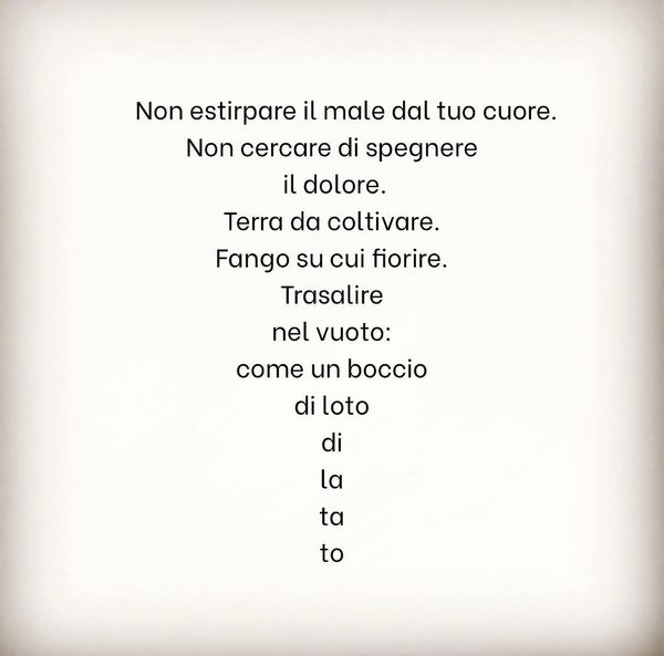 Loto — cover