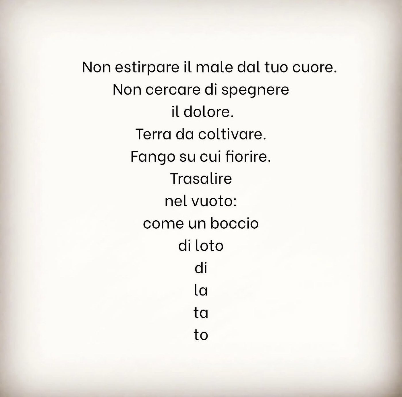 Loto — cover